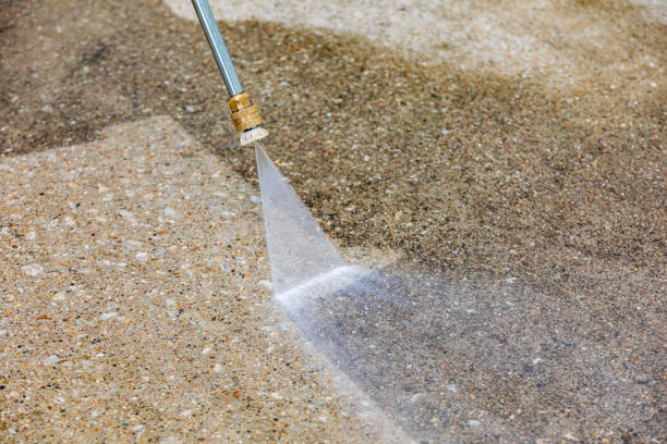 Best Roof Washing  in Pascoag, RI